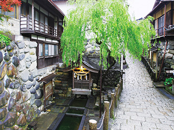 宗祇水