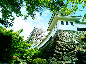 郡上八幡城