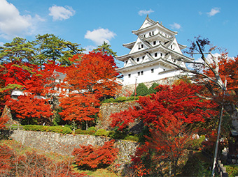 郡上八幡城