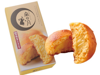 関の月