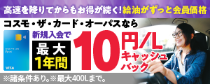 【広告・下部】コスモ石油マーケティングA（11/16~12/1）