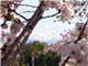 SapaInfo_40257_S.jpg