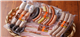 SapaInfo_41424_S.jpg