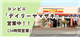 SapaInfo_47173_S.jpg
