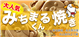 SapaInfo_47335_S.jpg