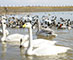 SapaRecommend_13037_S.jpg