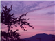 SapaRecommend_29919_S.jpg