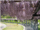 SapaRecommend_37022_S.jpg