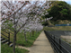 SapaRecommend_37023_S.jpg