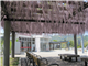 SapaRecommend_37026_S.jpg
