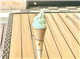 SpecialMiniSummary_43622_S.jpg