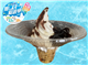 SpecialMiniSummary_48475_S.jpg
