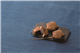 SpecialMiniSummary_52428_S.jpg