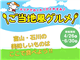 Special_48203_S.jpg