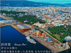 沼津港