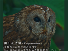 掛川花鳥園