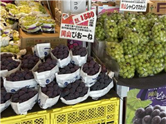 果物コーナー