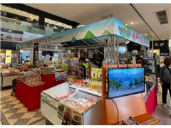 過去の開催状況