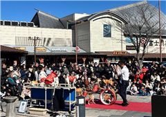 わんわんサーカスの公演