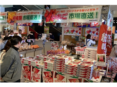 過去の開催状況