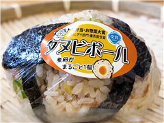 タヌビ―ボール